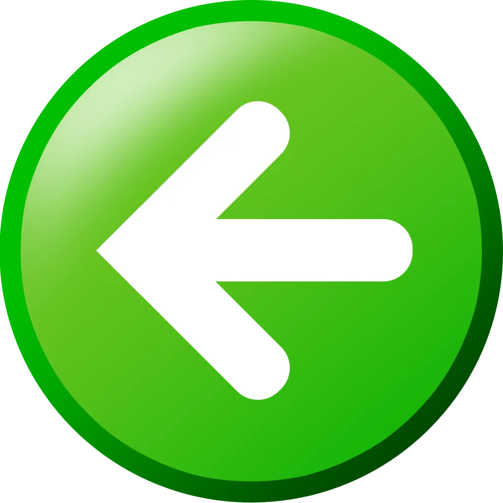 Windows XP back button icon
